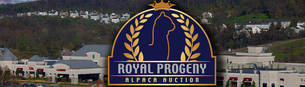 2018 Royal Progeny Alpaca Auction