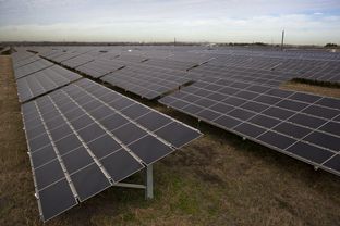 CPS Energy's Blue Wing Solar Farm in San Antonio is the largest solar array in Texas and is capable of producing enough electricity to power 1,800 households.