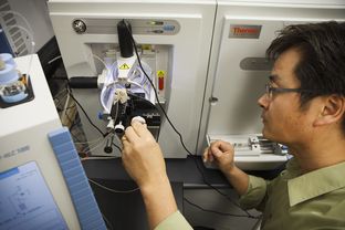 Associate Professor Sung Jung uses mass spectrometers to measure protein in cancer cells at Baylor College of Medicine in Houston Monday, February 11, 2013. Baylor College of Medicine received a $6 million CPRIT grant to purchase advanced laboratory infrastructure and pay researchers to measure all of the metabolites and proteins in cancer cells at the same time.