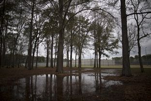 The Cleveland Corrections Center, located 50 miles northeast of Houston, is a private prison operated by the GEO group under the authority of the Texas Department of Criminal Justice.