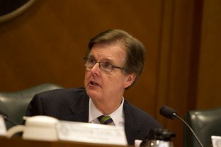State Sen. Dan Patrick, R-Houston, at a Senate Education Committee hearing on March 12, 2013.