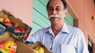 Marketing Director Carlos Zambito looks over some of the fruit imported from Mexico into his McAllen Produce Terminal.