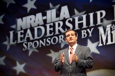 U.S. Senator Ted Crus of Texas speaks during the NRA's national convention in Houston, Friday May 3, 2013.