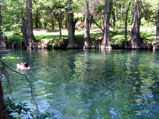 The Blue Hole springs in Wimberley 