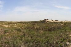 Texas is home to 91 state parks, including Boca Chica State Park. The current proposed state budget for 2014-15 would require the Texas Parks and Wildlife Department to close 7 state parks.