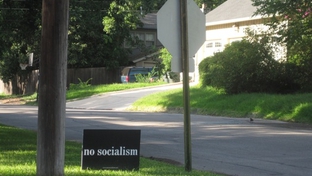 June 2010. The signs all over the Alamo Heights neighborhood.