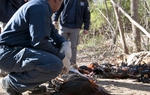 Police found about 100 birds, including about 30 that were dead or injured.