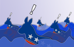 A surge in Republican enthusiasm nationwide has the GOP hopeful about taking back the U.S. House and, maybe, the U.S. Senate in November. In Texas, that high tide has turned a handful of what are usually considered safe Democratic House seats into live targets. Ben Philpott of KUT and the Tribune reports.