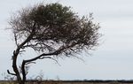 The scorching summer months have passed, but the state recorded barely any rainfall in November, sparking fears that Texas could be in store for a dry and potentially devastating winter.