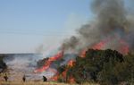 More landowners and public safety officials have begun calling on the state to respond to last year's devastating wildfires by lighting more fires &mdash; so-called prescribed burns that help remove the dry grass and brush that fuel the blazes.