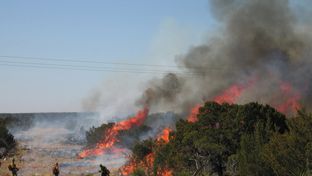 Prescribed burning on Walker Ranch in Crockett County - January 25, 2009