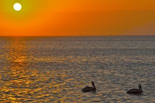 South Padre Island,  January 28, 2012