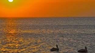 South Padre Island,  January 28, 2012