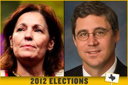 Texas Court of Criminal Appeals presiding Judge Sharon Keller and Democratic challenger, lawyer Keith Hampton