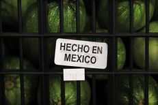 Mexican produce makes up 40 percent of the business Nicho Produce does in the Rio Grande Valley.