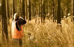 After populations in Texas plummeted last year due to disease and drought, quail counts are on the rise this season. But that small increase might not be enough to bring hunters out in full force.