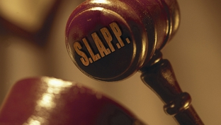 SLAPP:  "strategic lawsuit against public participation."