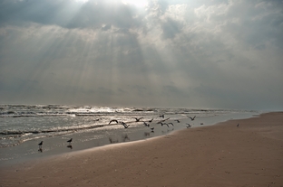 The beach in the Laguna Atascosa National Wildlife Refuge on South Padre Island.