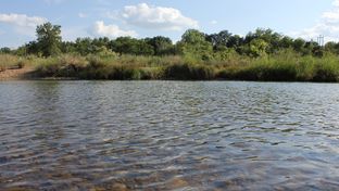 The Brazos River in Pickwick, Texas - June 30, 2012