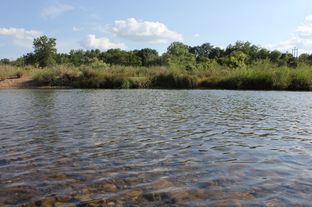 The Brazos River in Pickwick, Texas - June 30, 2012
