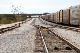 When digging gets underway, the substandard coal will be carried by train from the site in rural Maverick County through the center of Eagle Pass, Texas, and across the US Mexico border where it can be sold. Tracks run about a mile from E.K. Taylor's property, Saturday, February 4, 2012.