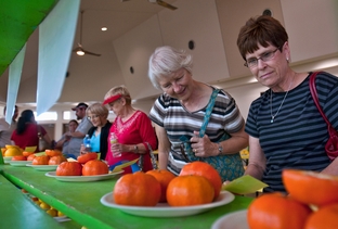 L to R:  Ruth Sagehorn and Virginia Schuerman look at entries in the citrus fruit exhibit at the Citrus Fiesta in Mission on Saturday Jan 28th, 2012.