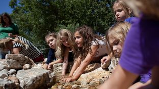 Students at Austin ISD's Casis Elementary explore the pond in their newly built outdoor classroom.