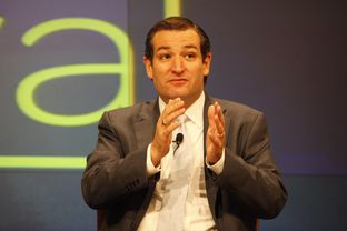 Ted Cruz at a panel on the future of Texas politics, at The Texas Tribune Festival on Sept. 22, 2012.