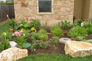 A xeriscaped garden in Austin, TX