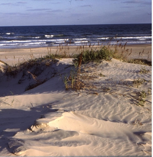 Texas beach