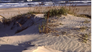 Texas beach