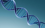 A former Austin Police Department employee’s allegations of misconduct at the city's DNA Crime Lab prompted an outside audit of the lab. As Mose Buchele of KUT News reports, the results of that audit have been released.