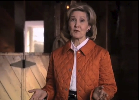 Screengrab from Hutchison's TV spot, "Honest"