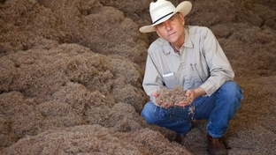 Bill Neiman, owner of Native American Seed, at his seed-cleaning facility in Junction, TX, Jan. 18, 2011.