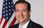 U.S. Sen. Ted Cruz on Wednesday gave his first formal speech on the Senate floor, urging his colleagues to support an amendment to defund federal health reform.&nbsp;