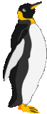 Pinguino1_thumb