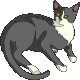 Gatto_cat_architetto_fra_03_thumb