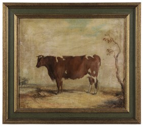 Lot 