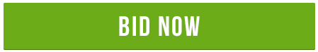 StockX Image Bid Now