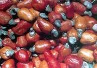 Cashews