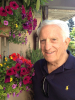 Carlo A. Marchetti (1931 - 2016)