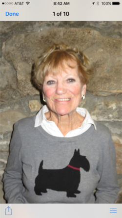 Carolyn_Antonik