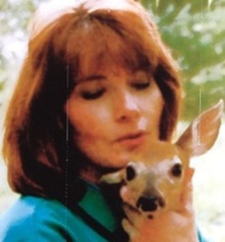 Cheryl_Lichtenstein