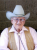 Dale L. Van Noy (1927 - 2015)