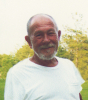 David Adams (1951 - 2017)