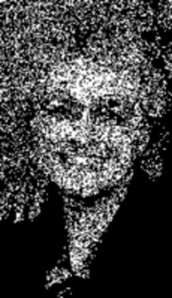Dorothy E._Schaumberg