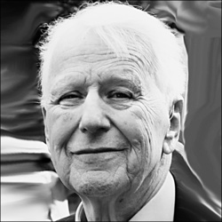 George_Schaefer, Jr.