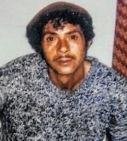Horace_Fowler