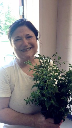 Jeanne Marie Revells_Tenney