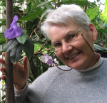 Karen R. Murphy (1950 - 2016)